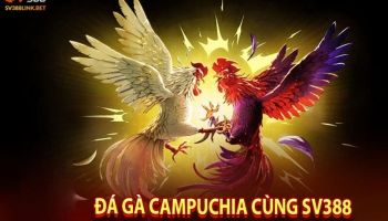 Cập nhật link đăng ký Sv388 – Hướng dẫn tạo tài khoản Sv388 chi tiết