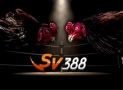 SV388 Link- Nhà cái SV388 Link truy cập bao mật chất lượng tốt nhất 2023