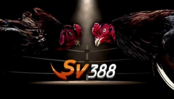 SV388 Link- Nhà cái SV388 Link truy cập bao mật chất lượng tốt nhất 2023